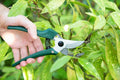 FREE Gardening and Social Event (workshop)