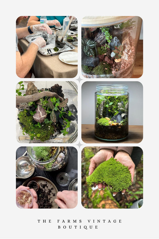 CLOSED TERRARIUM WORKSHOP WITH JENNIFER VASALLO